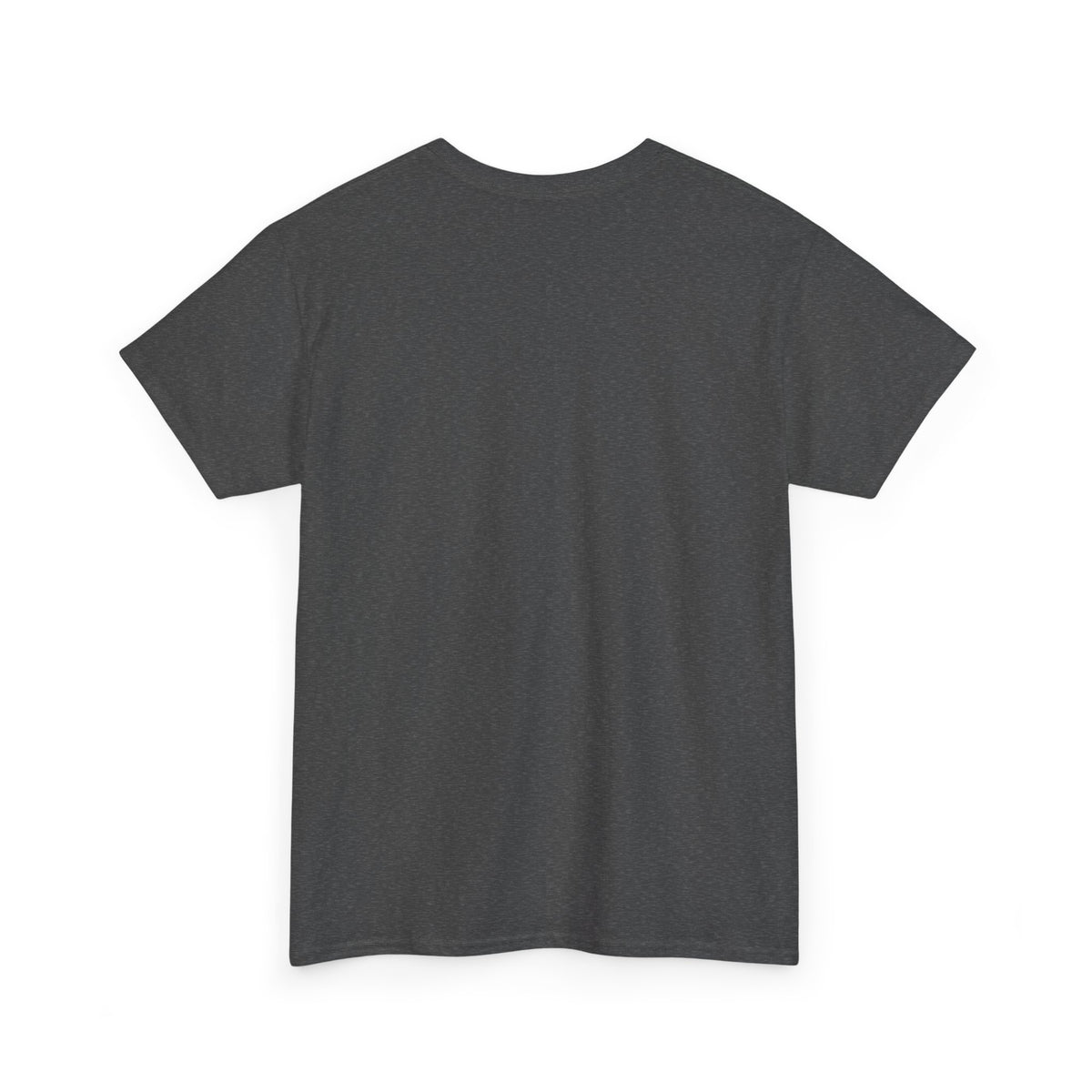 Gen X Computing Shirt for Programmers Still Building Software